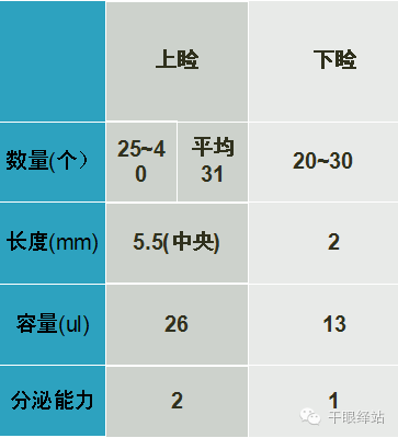 爱尔眼科医院