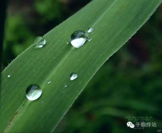 爱尔眼科医院