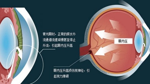 药物诊疗